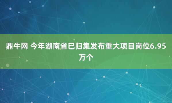 鼎牛网 今年湖南省已归集发布重大项目岗位6.95万个