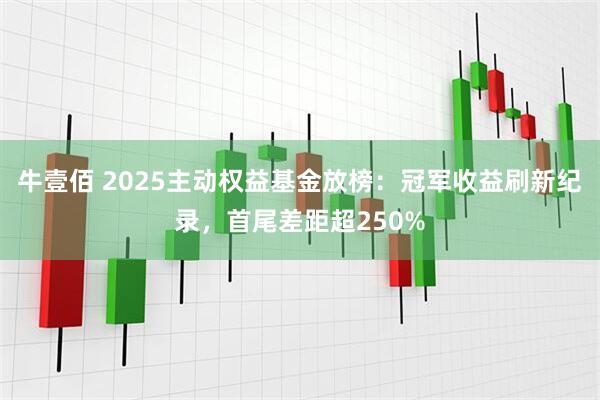 牛壹佰 2025主动权益基金放榜：冠军收益刷新纪录，首尾差距超250%