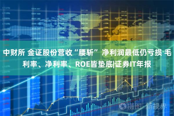 中财所 金证股份营收“腰斩” 净利润最低仍亏损 毛利率、净利率、ROE皆垫底|证券IT年报